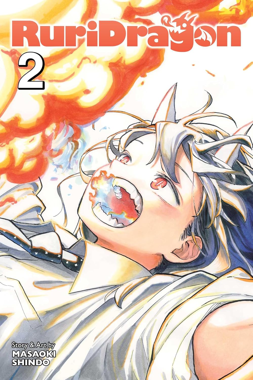 RuriDragon Volume 2